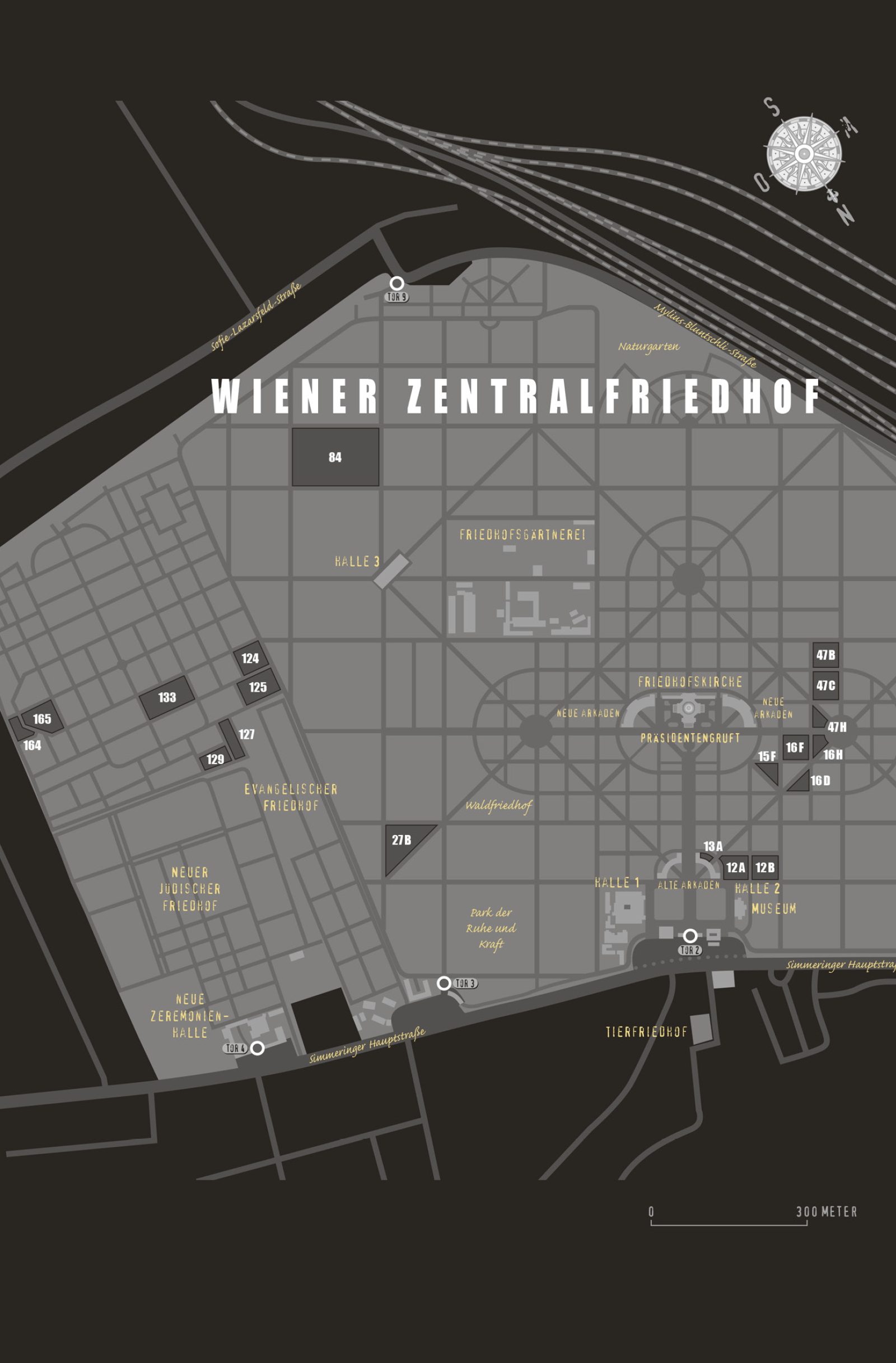 Beispielinhalt (Bild) VANITAS - Grau wie Asche
