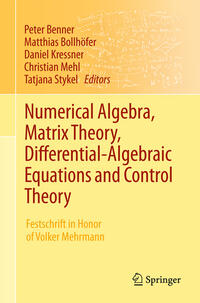 Vorderes Coverbild Numerical Algebra, Matrix Theory, Differential-Algebraic Equations and Control Theory