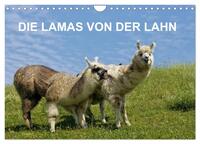 Vorderes Coverbild DIE LAMAS VON DER LAHN (Wandkalender 2025 DIN A4 quer), CALVENDO Monatskalender