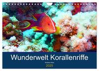 Vorderes Coverbild Wunderwelt Korallenriffe (Wandkalender 2025 DIN A4 quer), CALVENDO Monatskalender