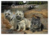 Vorderes Coverbild Cairns Forever (Wandkalender 2025 DIN A4 quer), CALVENDO Monatskalender