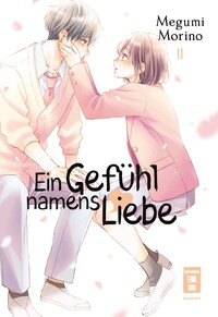 Vorderes Coverbild Ein Gefühl namens Liebe 11