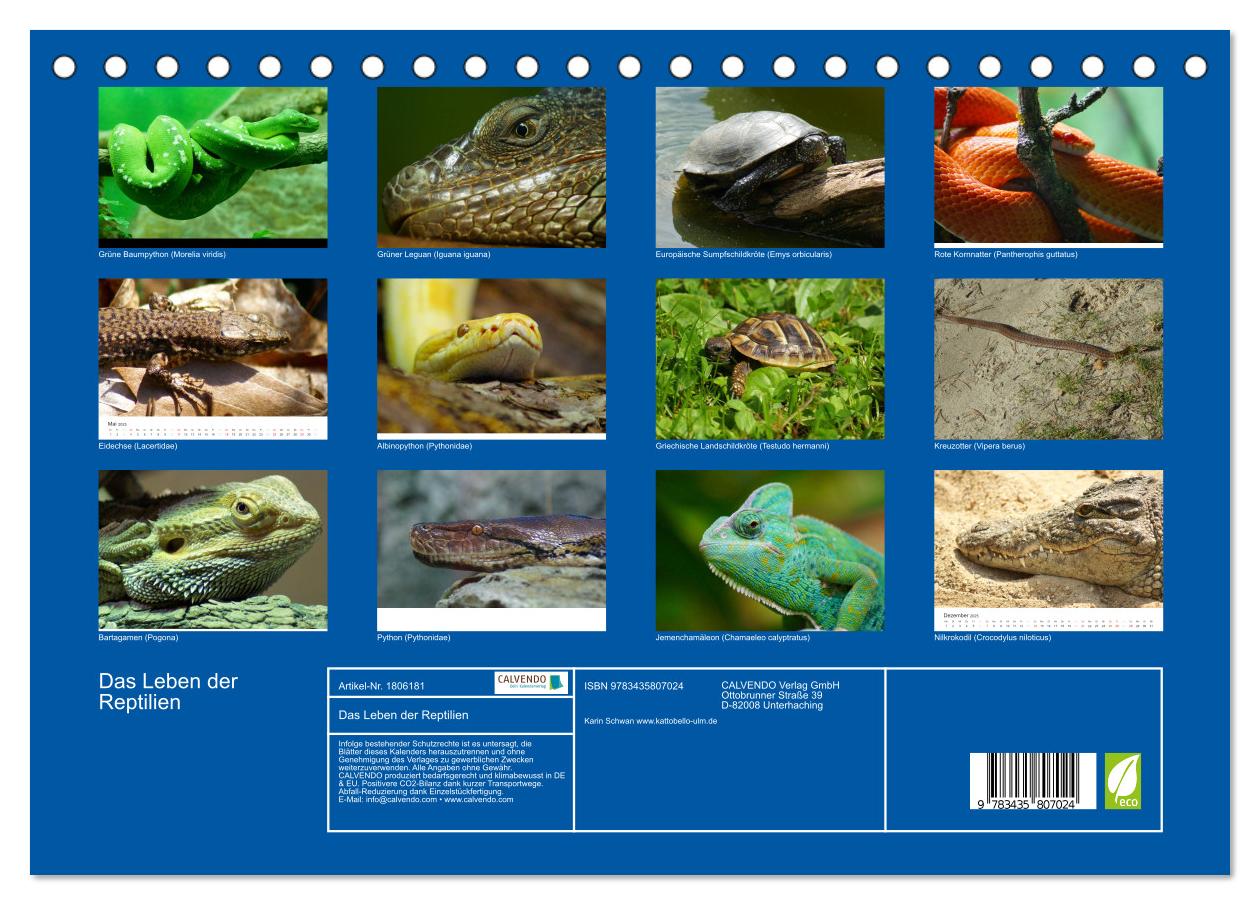Beispielinhalt (Bild) Das Leben der Reptilien (Tischkalender 2025 DIN A5 quer), CALVENDO Monatskalender