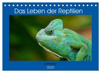 Vorderes Coverbild Das Leben der Reptilien (Tischkalender 2025 DIN A5 quer), CALVENDO Monatskalender