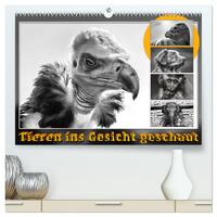 Vorderes Coverbild Tieren ins Gesicht geschaut (hochwertiger Premium Wandkalender 2025 DIN A2 quer), Kunstdruck in Hochglanz