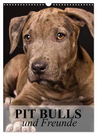 Vorderes Coverbild Pit Bulls und Freunde (Wandkalender 2025 DIN A3 hoch), CALVENDO Monatskalender