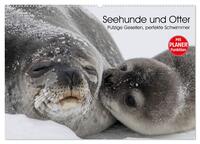 Vorderes Coverbild Seehunde und Otter. Putzige Gesellen, perfekte Schwimmer (Wandkalender 2025 DIN A2 quer), CALVENDO Monatskalender