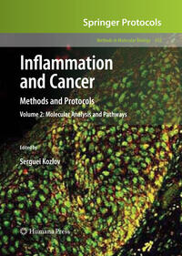 Vorderes Coverbild Inflammation and Cancer