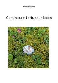 Vorderes Coverbild Comme une tortue