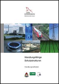 Vorderes Coverbild Wandlungsfähige Schutzstrukturen