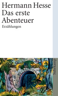 Vorderes Coverbild Das erste Abenteuer