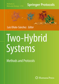 Vorderes Coverbild Two-Hybrid Systems