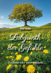 Vorderes Coverbild Labyrinth der Gefühle