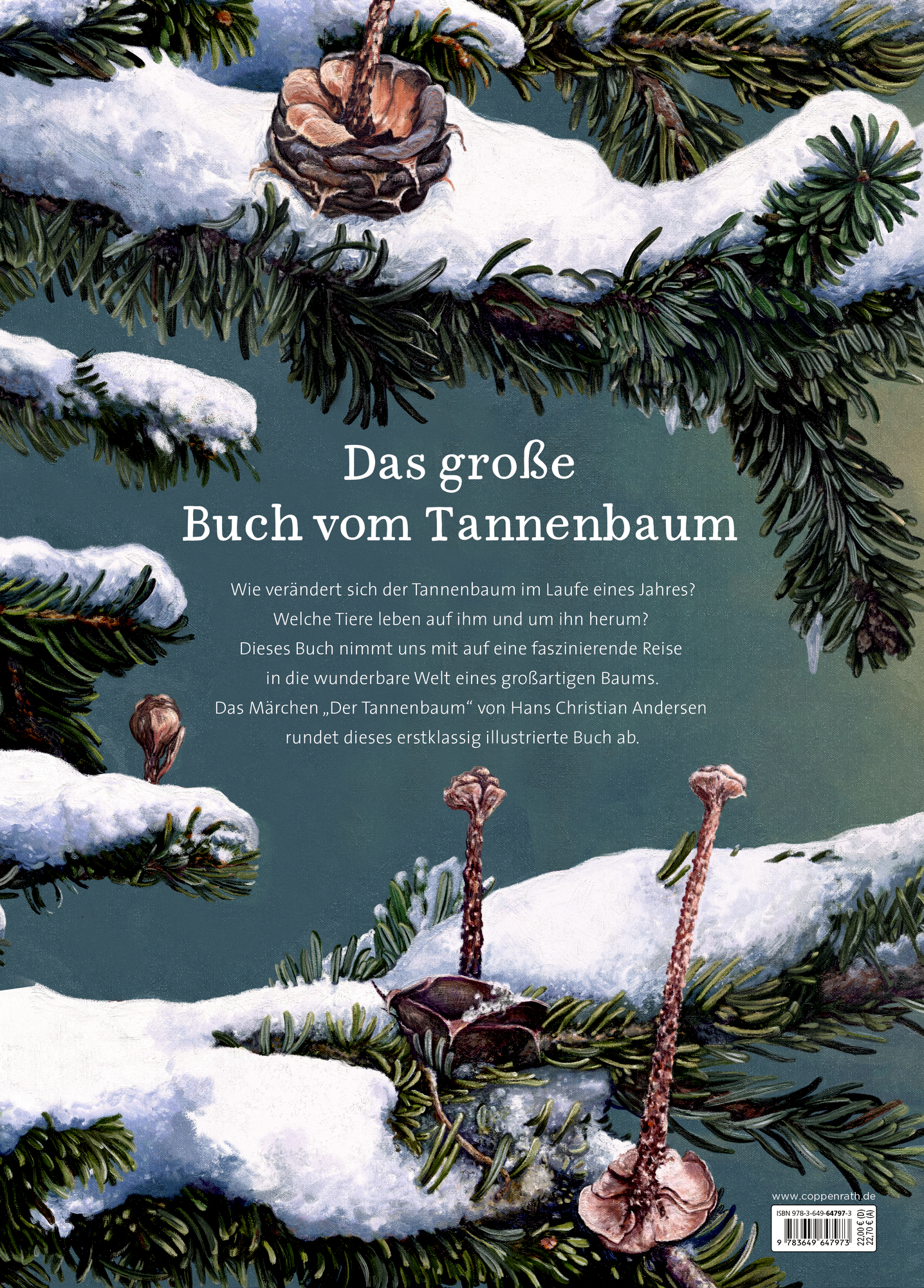 Rückseitencover Das große Buch vom Tannenbaum