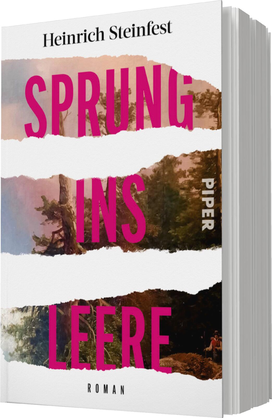 Anderes Coverbild Sprung ins Leere