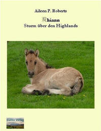 Vorderes Coverbild Rhiann - Sturm über den Highlands