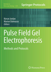 Vorderes Coverbild Pulse Field Gel Electrophoresis