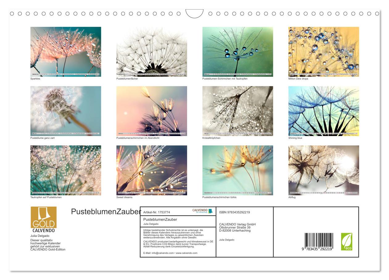 Beispielinhalt (Bild) PusteblumenZauber (Wandkalender 2025 DIN A3 quer), CALVENDO Monatskalender