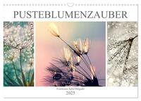 Vorderes Coverbild PusteblumenZauber (Wandkalender 2025 DIN A3 quer), CALVENDO Monatskalender
