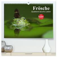 Vorderes Coverbild Frösche. Quakend durchs Leben (hochwertiger Premium Wandkalender 2025 DIN A2 quer), Kunstdruck in Hochglanz