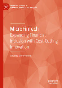 Vorderes Coverbild MicroFinTech