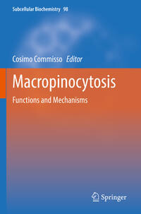 Vorderes Coverbild Macropinocytosis