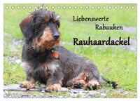 Vorderes Coverbild Liebenswerte Rabauken Rauhaardackel / CH-Version (Tischkalender 2025 DIN A5 quer), CALVENDO Monatskalender