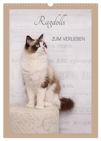Vorderes Coverbild Ragdolls zum Verlieben (Wandkalender 2026 DIN A3 hoch), CALVENDO Monatskalender