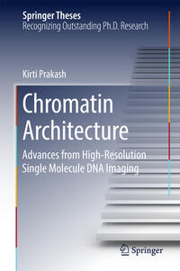 Vorderes Coverbild Chromatin Architecture