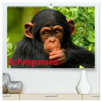 Vorderes Coverbild Schimpansen (hochwertiger Premium Wandkalender 2025 DIN A2 quer), Kunstdruck in Hochglanz