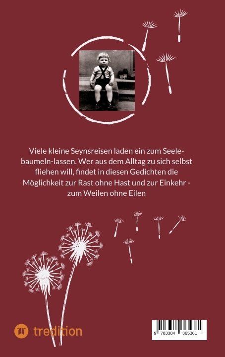 Rückseitencover Meine Seyn(e) Reime