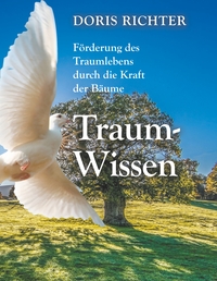 Vorderes Coverbild Traum - Wissen