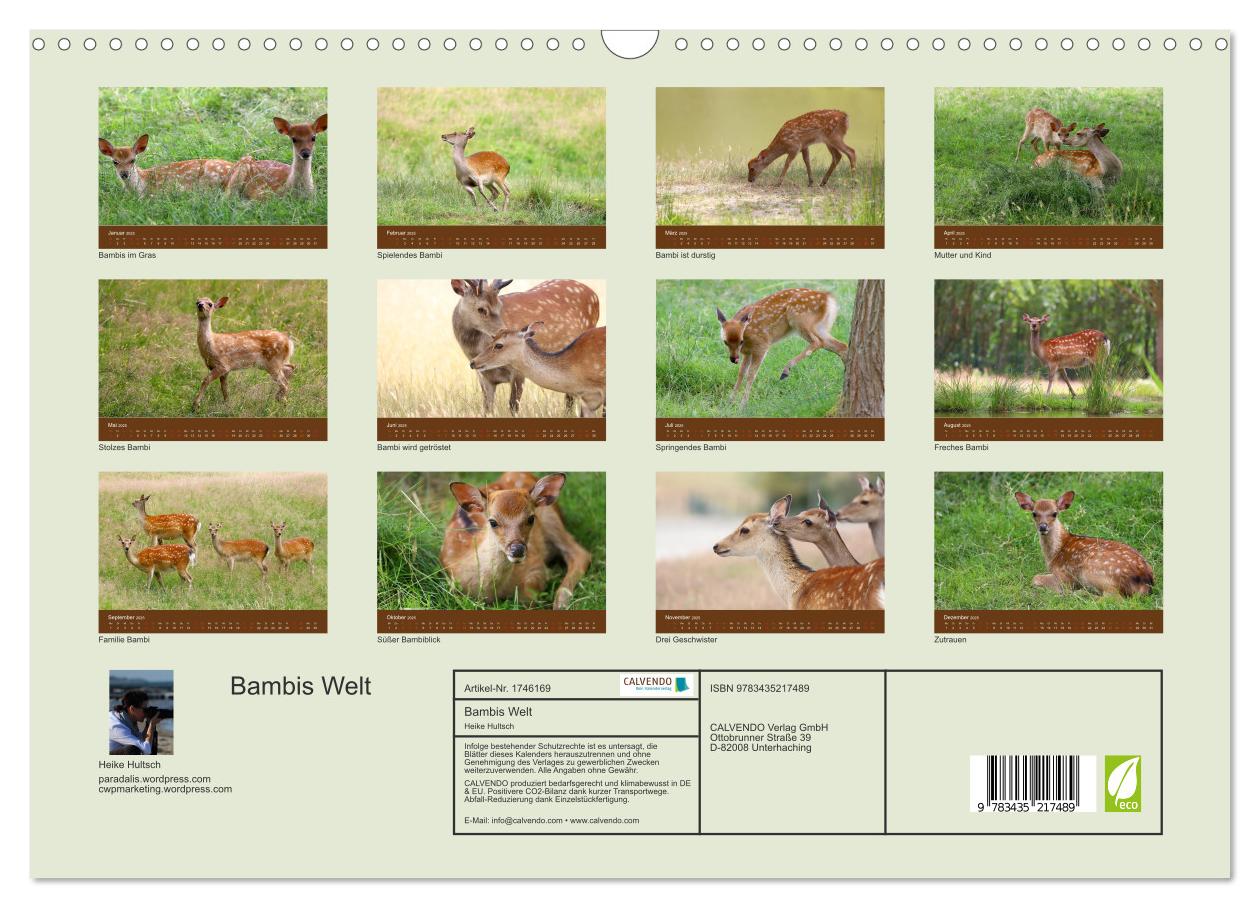 Beispielinhalt (Bild) Bambis Welt (Wandkalender 2025 DIN A3 quer), CALVENDO Monatskalender