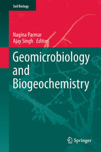 Vorderes Coverbild Geomicrobiology and Biogeochemistry