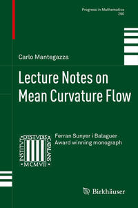 Vorderes Coverbild Lecture Notes on Mean Curvature Flow