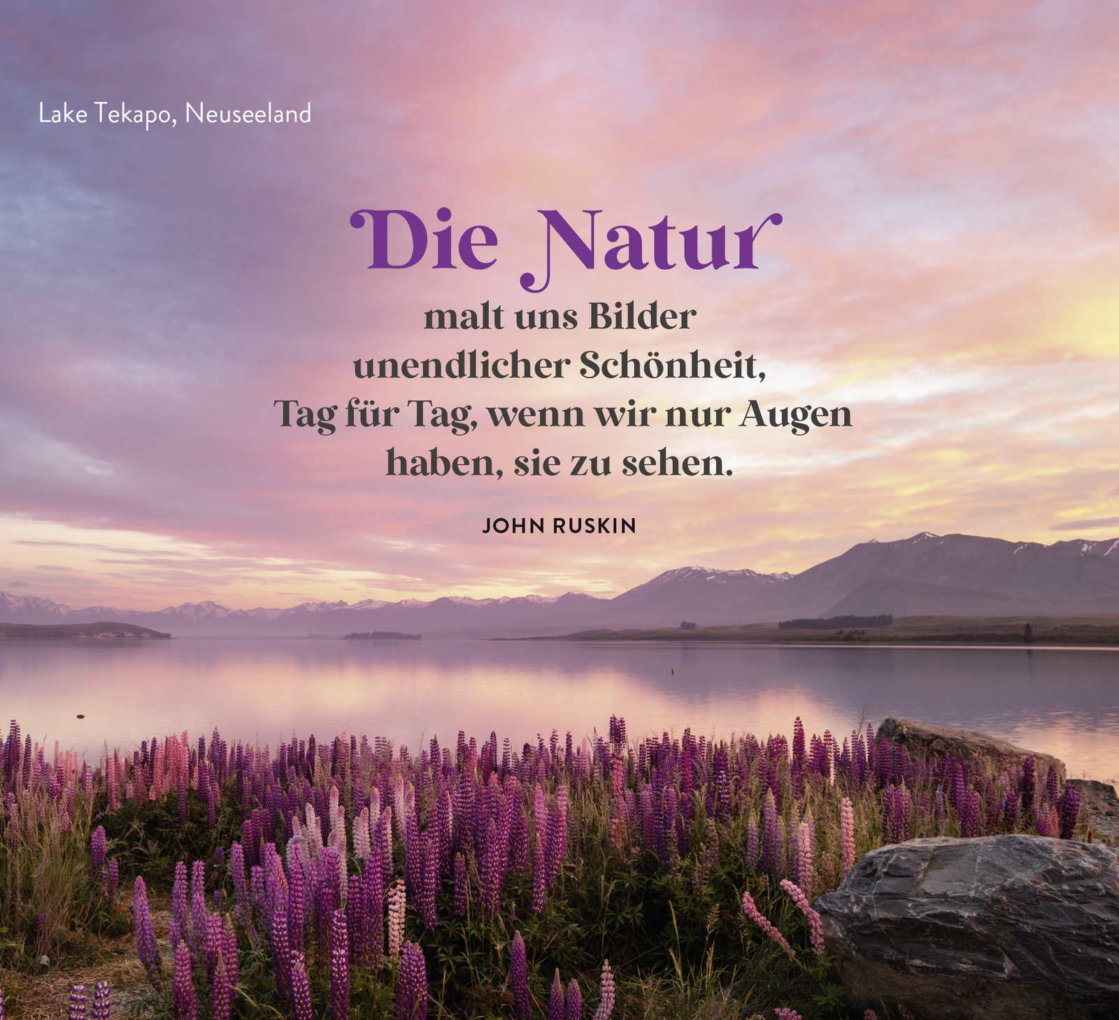 Beispielinhalt (Bild) Ein Meer aus Blüten