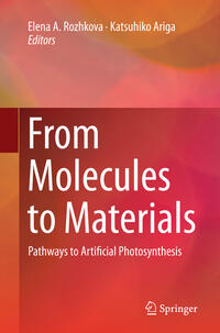 Vorderes Coverbild From Molecules to Materials