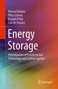 Vorderes Coverbild Energy Storage