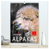 Vorderes Coverbild Putzige Alpakas (hochwertiger Premium Wandkalender 2025 DIN A2 hoch), Kunstdruck in Hochglanz