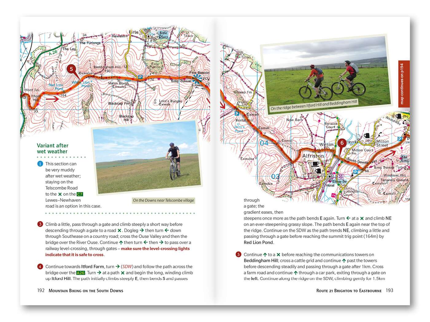 Beispielinhalt (Bild) Mountain Biking on the South Downs