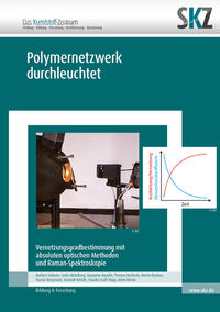 Vorderes Coverbild Polymernetzwerk durchleuchtet