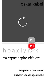 Vorderes Coverbild Hoaxlyrik - 20 Egomorphe Effekte