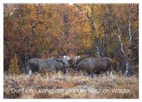 Vorderes Coverbild Der Elch - König der skandinavischen Wälder (Wandkalender 2025 DIN A2 quer), CALVENDO Monatskalender