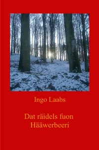 Vorderes Coverbild Dat räidels fuon Hääwerbeeri - Das Rätsel von Haferberg