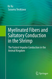 Vorderes Coverbild Myelinated Fibers and Saltatory Conduction in the Shrimp