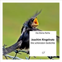 Vorderes Coverbild Die Kleine Reihe Bd. 9: Joachim Ringelnatz