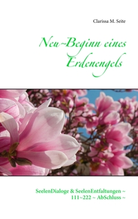 Vorderes Coverbild Neu~Beginn eines Erdenengels