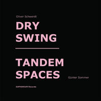 Vorderes Coverbild Dry Swing / Tandem Spaces