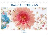 Vorderes Coverbild Bunte Gerberas (Wandkalender 2025 DIN A4 quer), CALVENDO Monatskalender