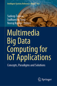 Vorderes Coverbild Multimedia Big Data Computing for IoT Applications